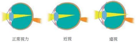 8090网免费追剧大全电视剧网站下载